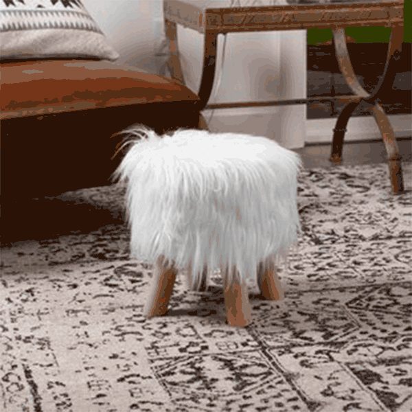 پاف راشین