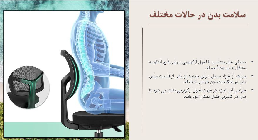 صندلی ارگونومیک چه کار میکند